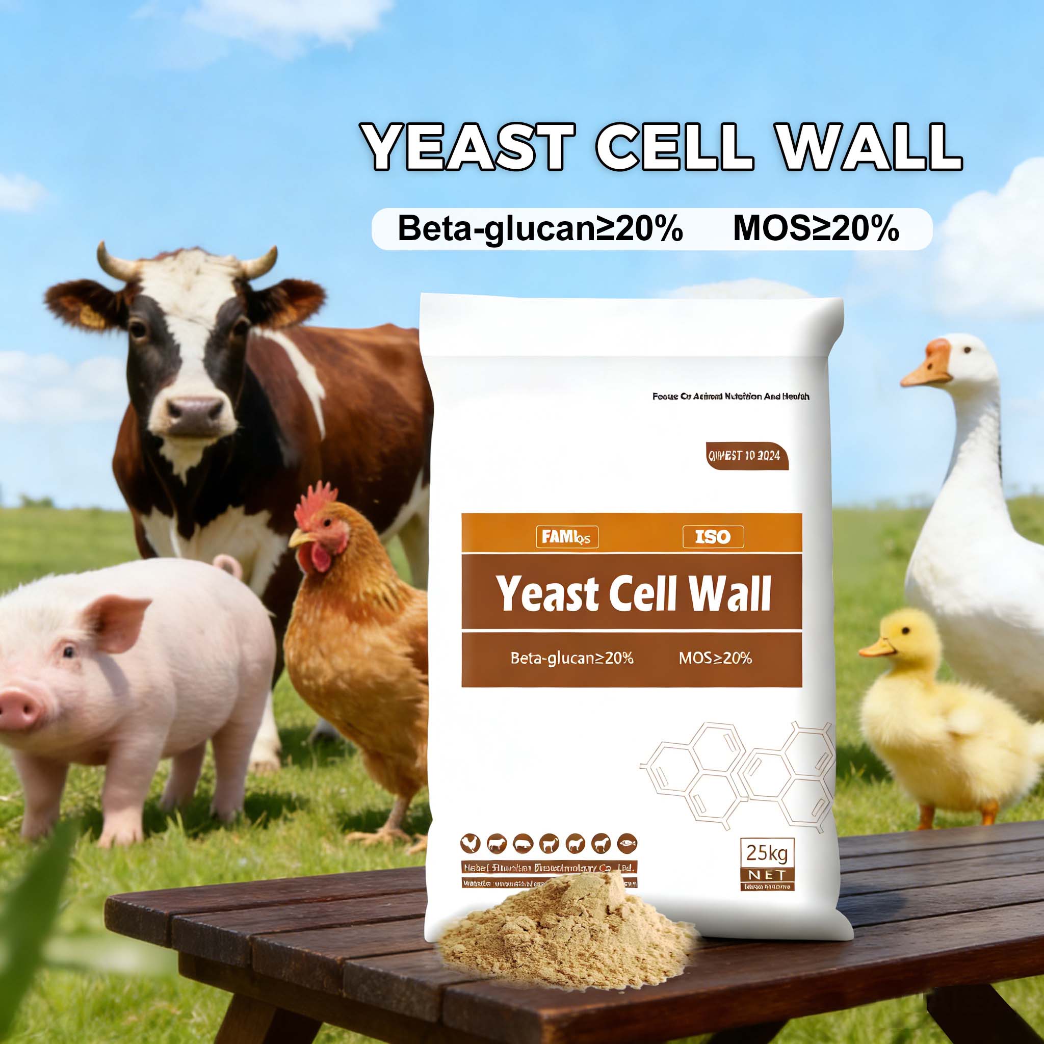 Functional Mechanisms of Yeast Cell Wall