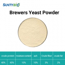 Brewer's yeast powder