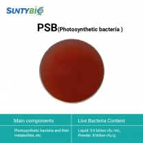 Photosynthetic bacteria