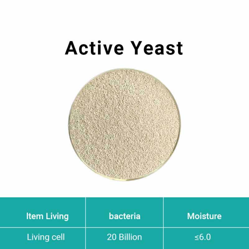 Active dry yeast/Active yeast