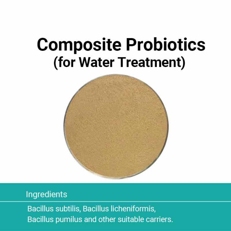 Compound Bacteria for Animal Feed