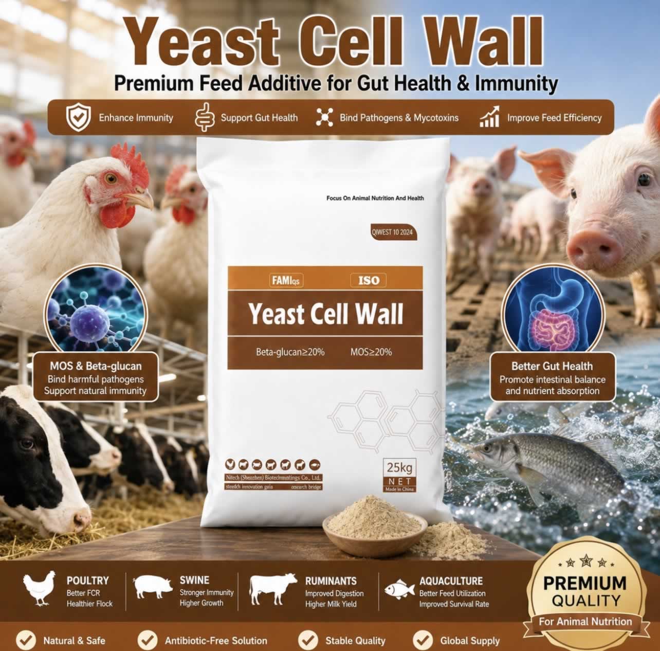 Global Yeast Cell Wall Market Insights: Regulatory Shifts and Growth Trends